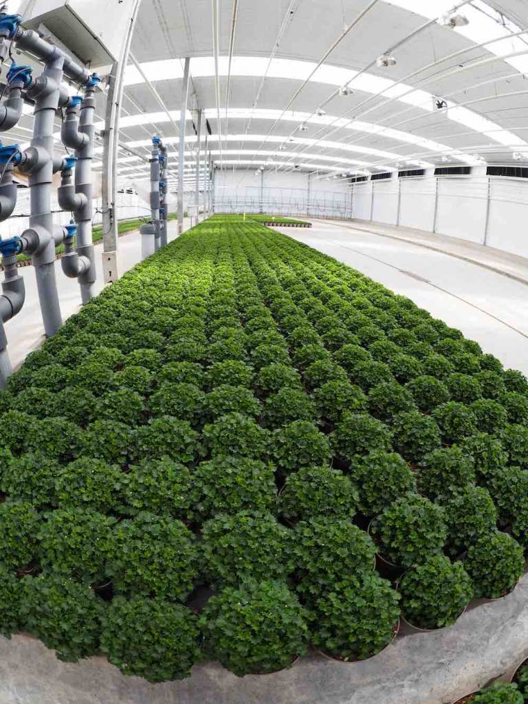 addenda en groenrijk