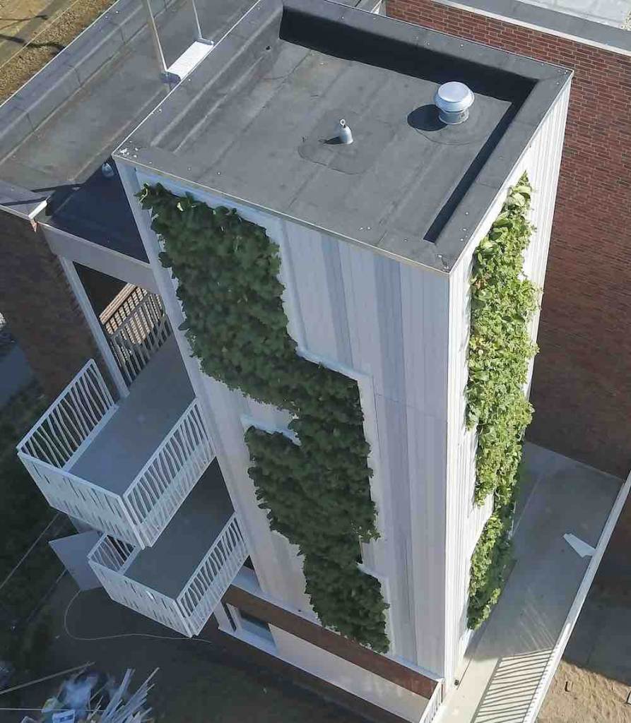 groene toren