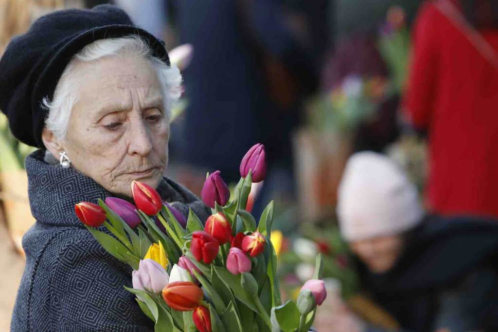 iedereen geniet van tulpen