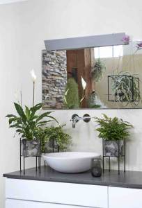4 badkamerplanten