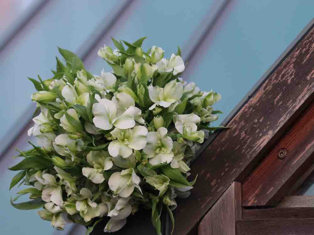 bijzondere (snij)bloem