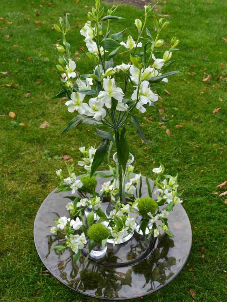 bijzondere (snij)bloem met grote sierwaarde