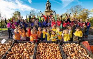 miljoen bollen