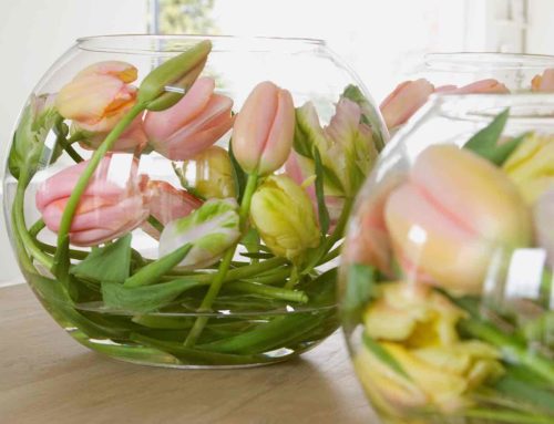 Pasen met tulpen, takken en jonge eendjes