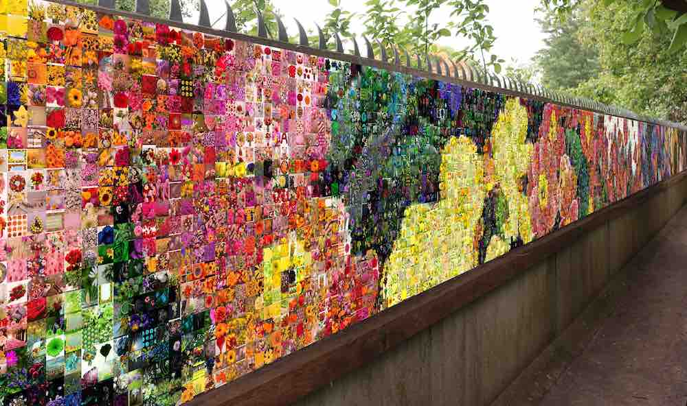 wall of flowers