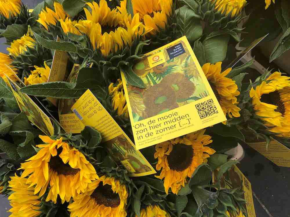 vriendelijke groet temperatuur Hond De zomer start met zonnebloemen van Van Gogh - GroenVandaag