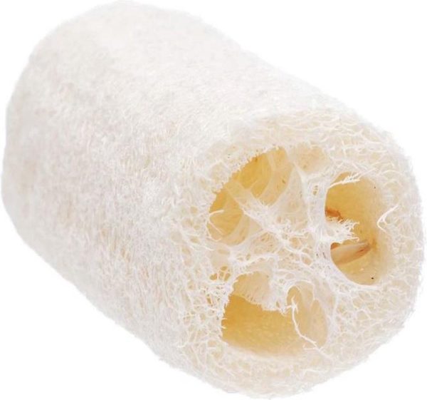 Loofah, een courgette die badspons werd GroenVandaag