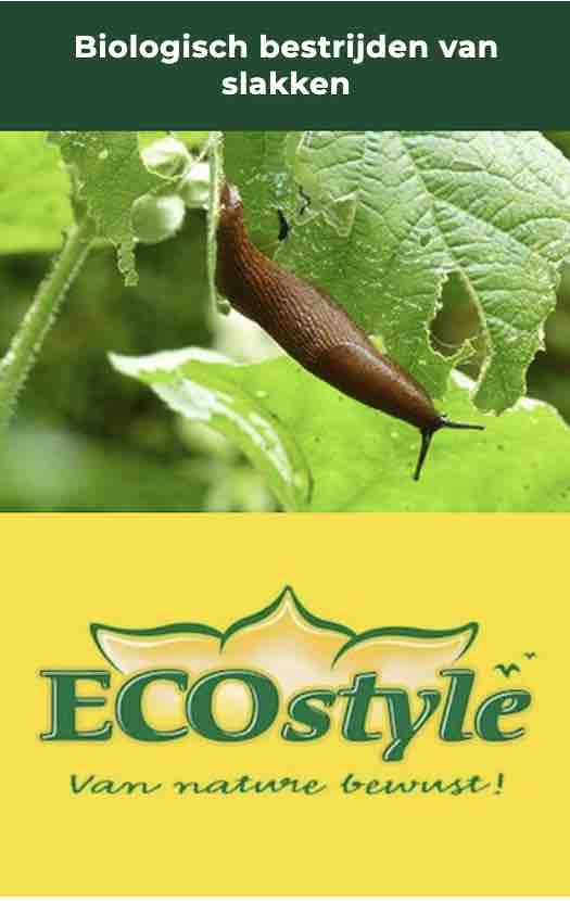 ecostyle