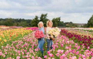 fam flower farm