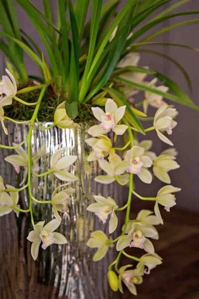 Kerst met orchideeën