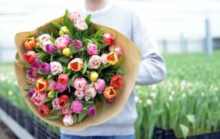 klimaatneutrale tulpen voor internationale vrouwendag 2023