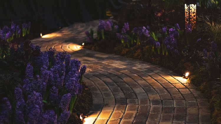 Verlengen adelaar Heerlijk Advies bij het kiezen van LEDstrip verlichting in de tuin - GroenVandaag