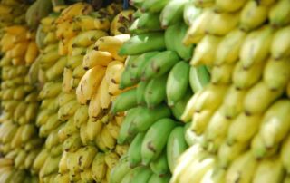 vezelrijke banaan