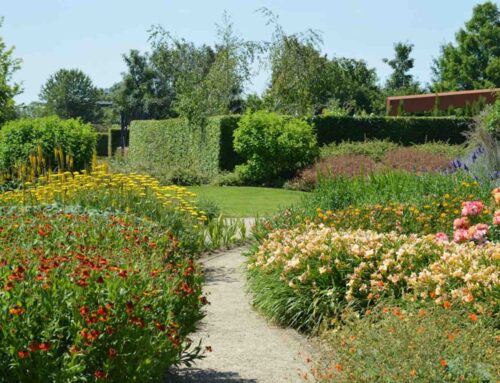 Ze zijn er weer, slakken in de tuin
