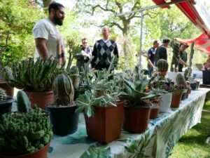 Hortus botanicus Leiden organiseert Plantenmarkt op 13 mei