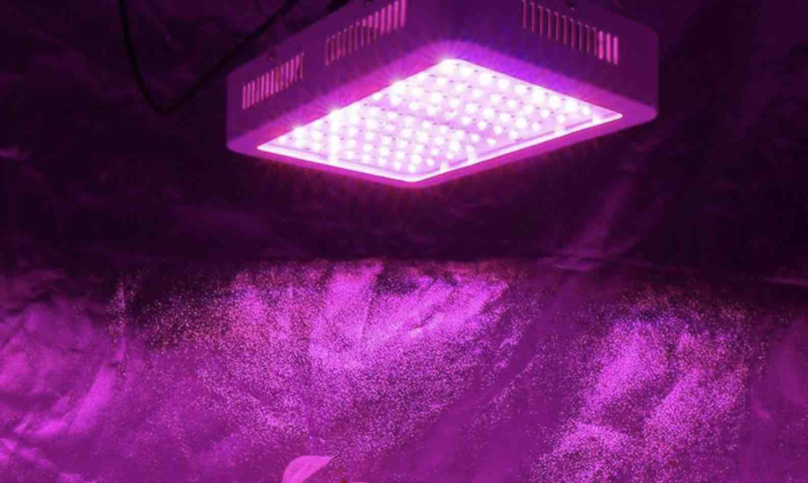 LED-kweeklampen