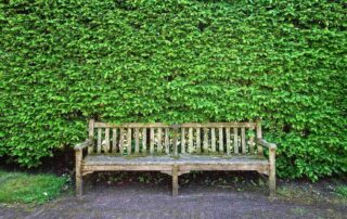 Groene aanslag verwijderen van terras, potten en schutting