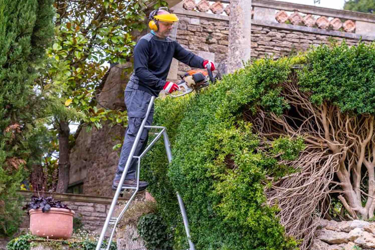 Handige Plukladder Voor Huishoudelijk Gebruik GroenVandaag Handige Plukladder Voor Huishoudelijk Gebruik GroenVandaag