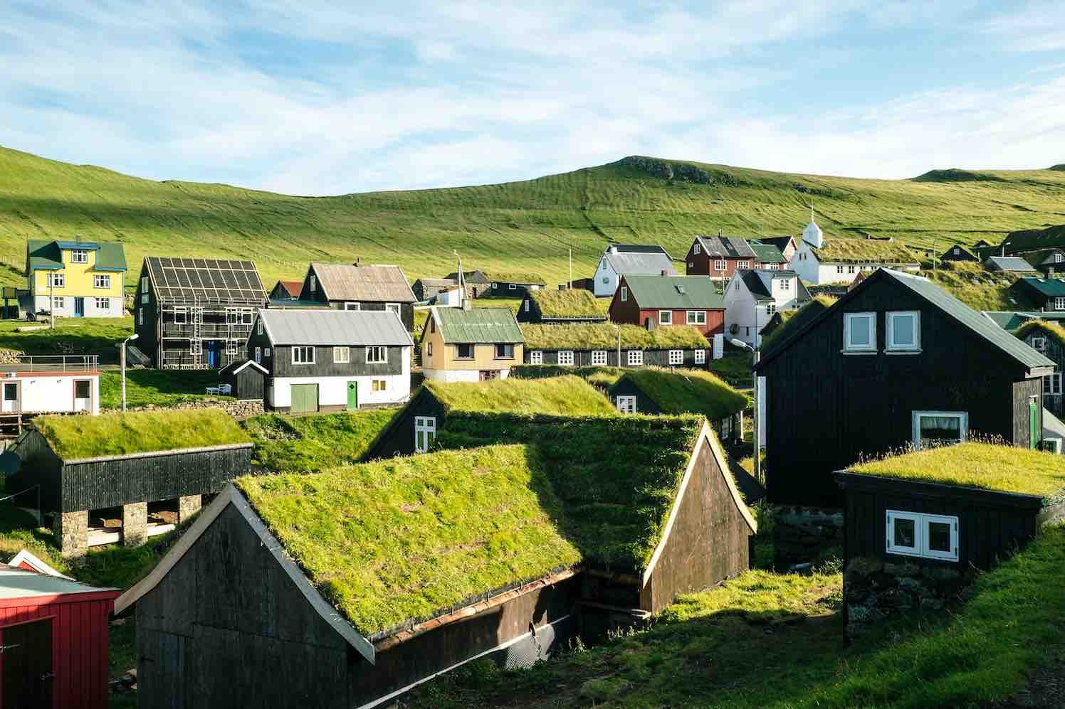 groene daken in scandinavië