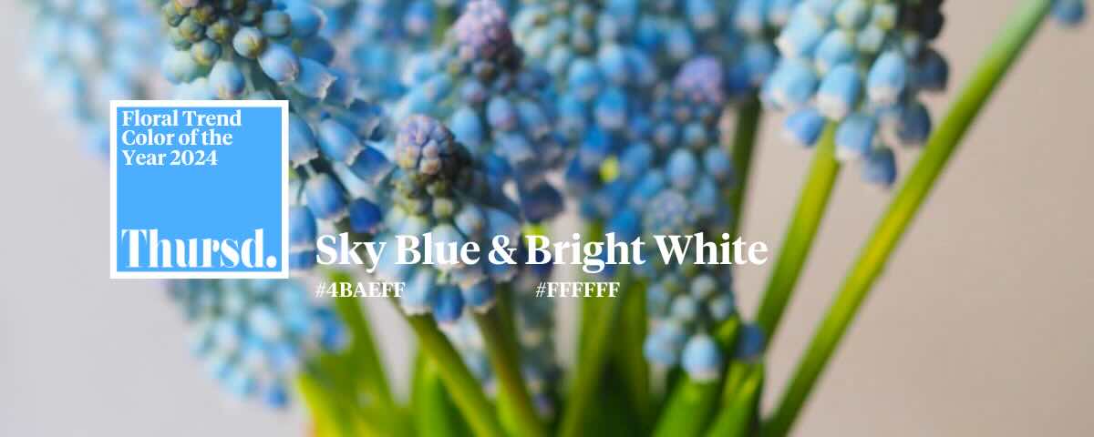 sky blue en bright white de kleuren van 2024