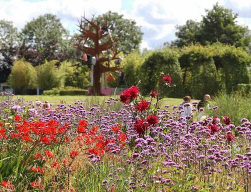 Bloemenpark Appeltern, beleef de mooiste tuinen!