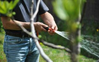 Meer woongeluk met een goed onderhouden tuin