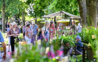 Appeltern Plantenfestijn, inspiratie voor meer groen in de tuin