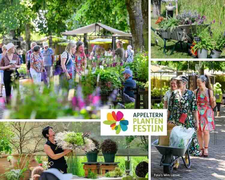 Appeltern Plantenfestijn, inspiratie voor meer groen in de tuin