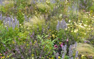 Wisselborders in Bloemenpark Appeltern