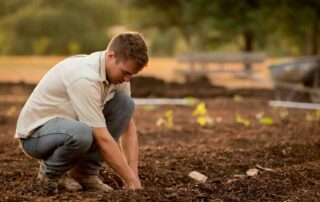 4 redenen om een moestuin te beginnen