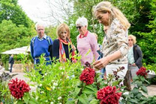 Tuingeluk met planten in Bloemenpark Appeltern