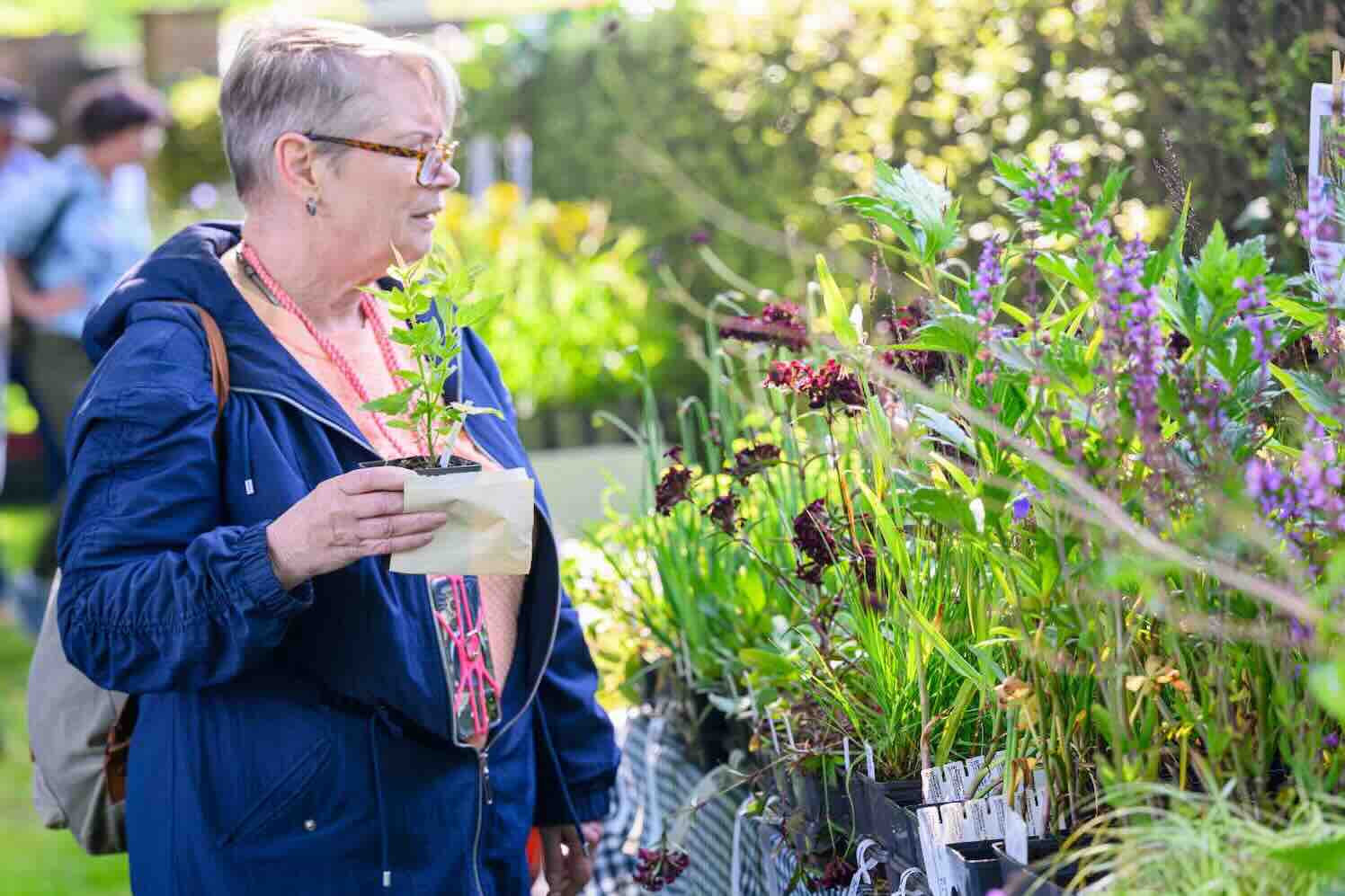 Tuingeluk met planten in Bloemenpark Appeltern