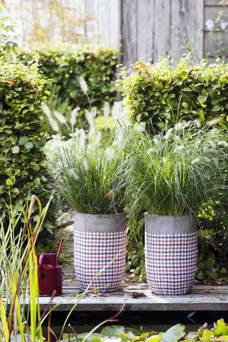 3 grote pluimen voor de zomertuin