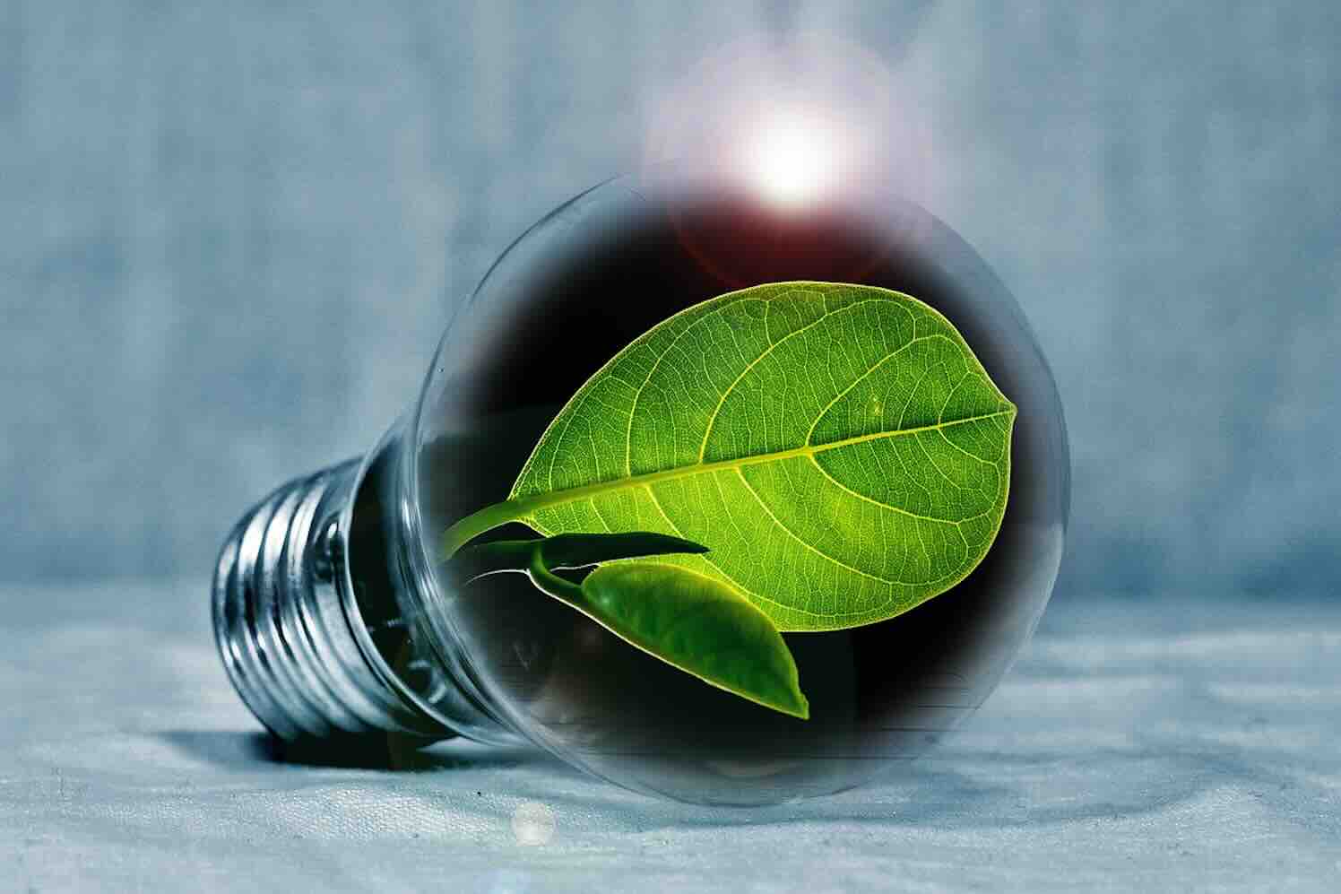 Wat is groene energie, wat houdt dat eigenlijk in?