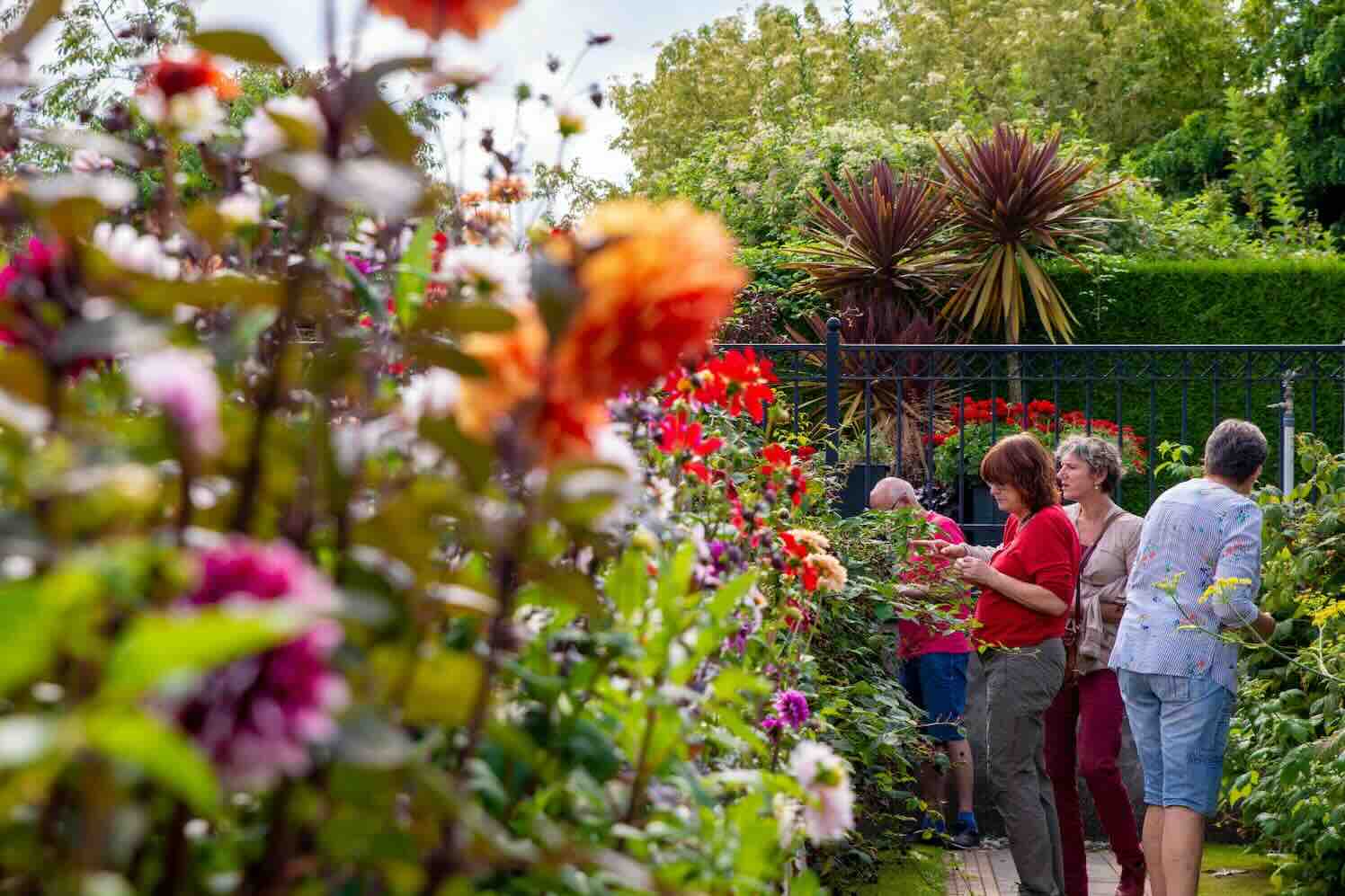 Dahlia- en Doorbloeidagen 2024 in Bloemenpark