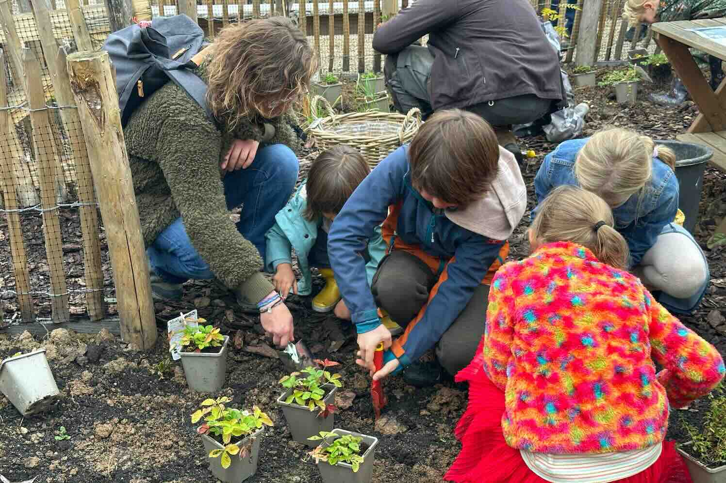 Nieuwe IVN-voedselbosjes verrijken Bloemenpark Appeltern