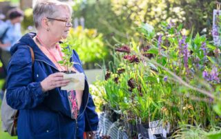 Ervaar tuingeluk met planten in Appeltern