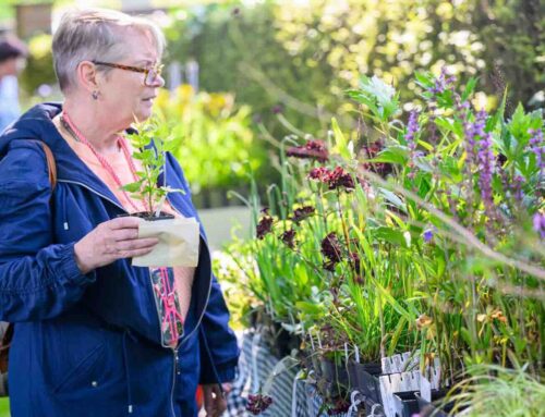 Ervaar tuingeluk met planten in Appeltern