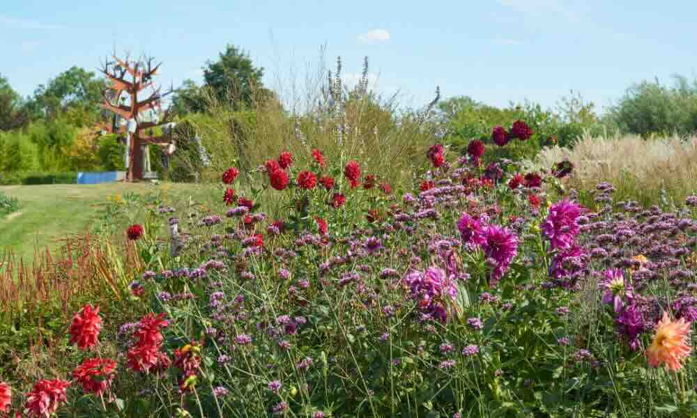 Ervaar tuingeluk met planten in Appeltern