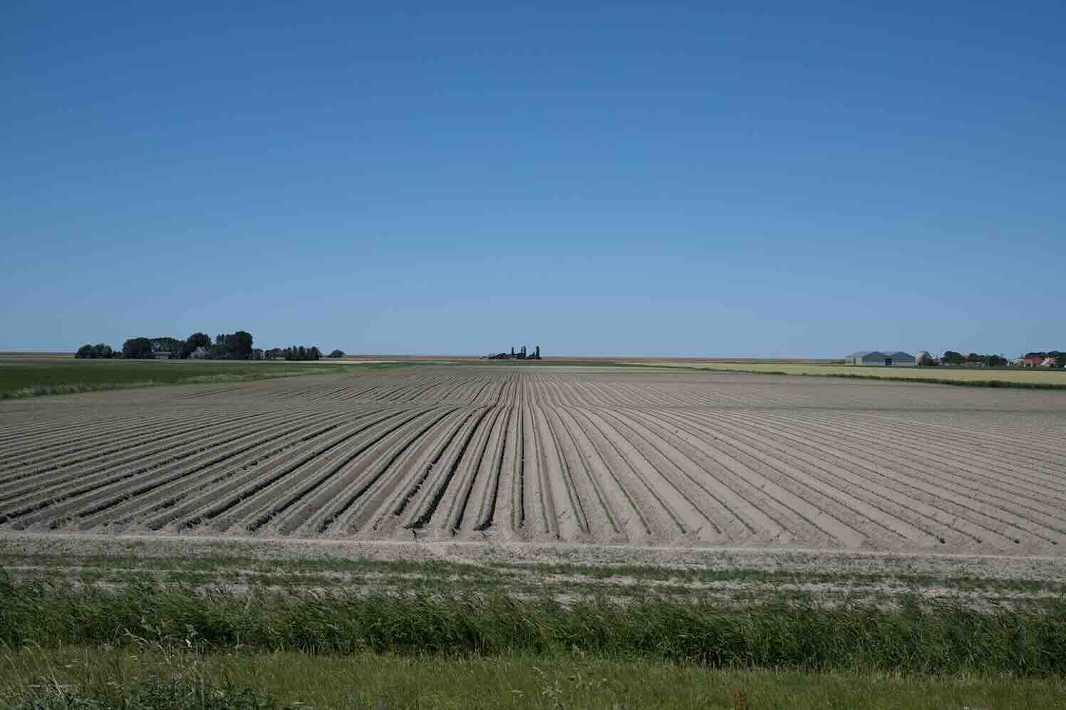 De rol van financiële dienstverleners in de agrarische sector