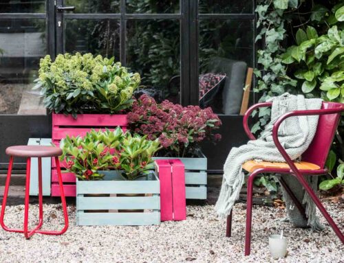 Permanent groen in de tuin… goed idee