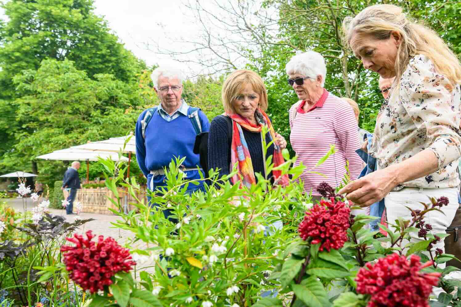 Ervaar tuingeluk met planten in Appeltern