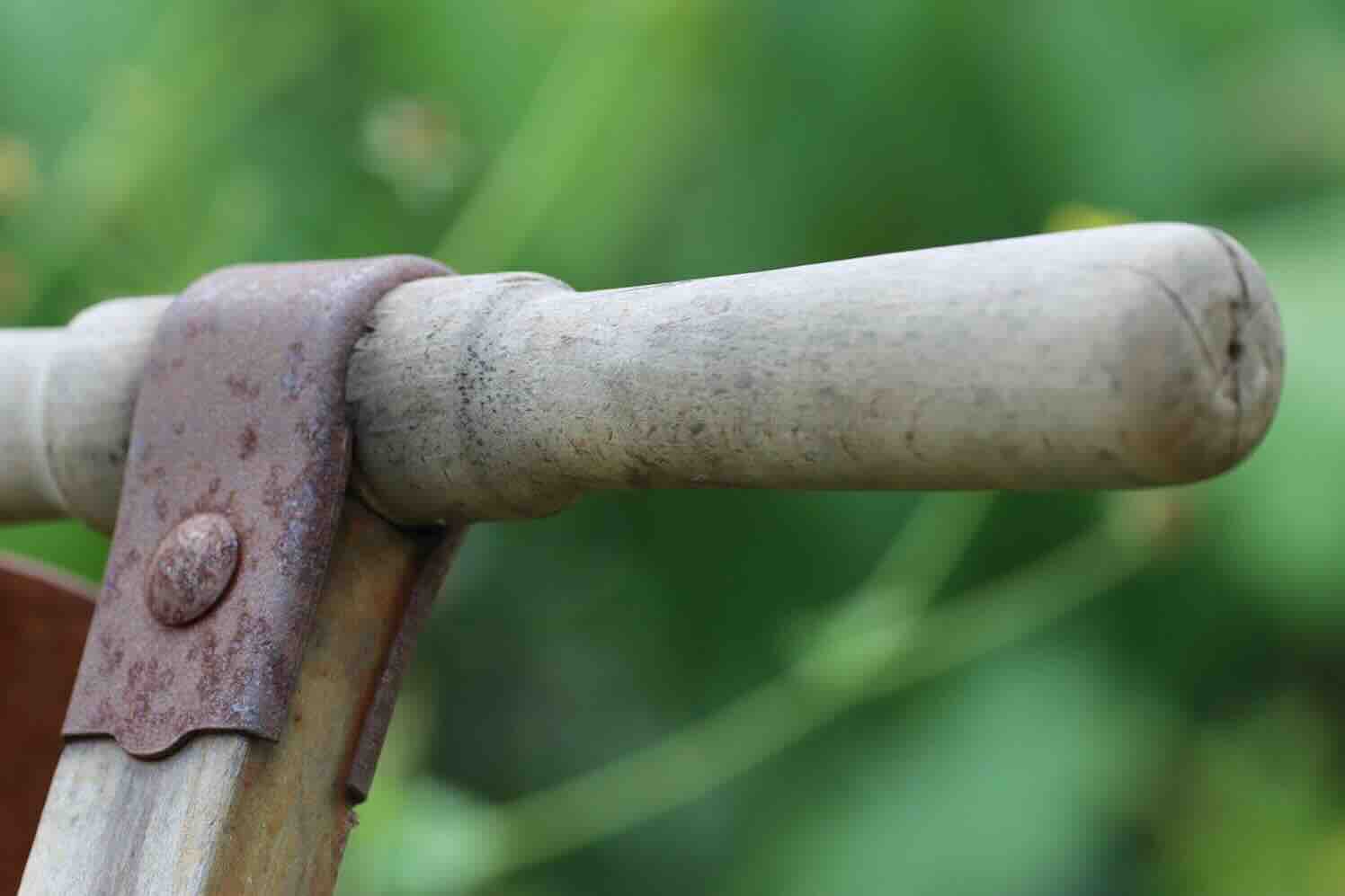 Tuinrenovatie; met welke zaken moet je rekening houden?