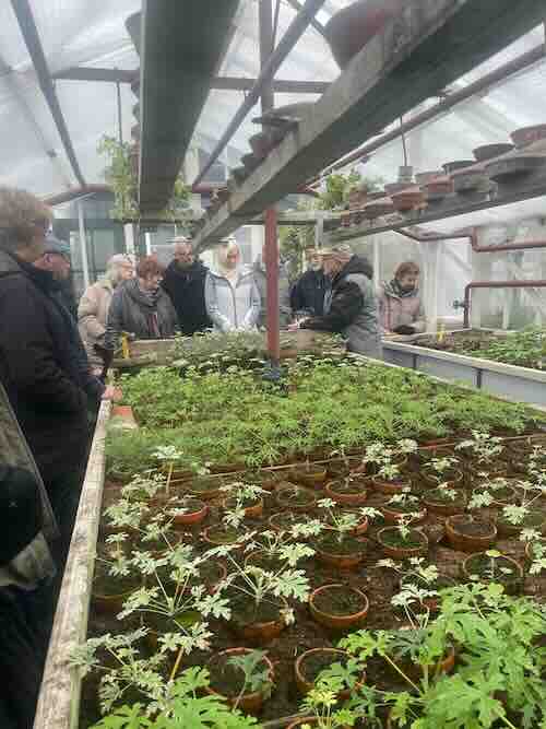 Snertwandeling en workshop fruitbomen enten bij Historische Tuin