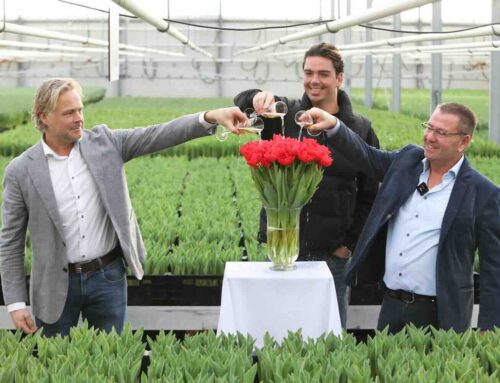 Yves Berendse heeft nu ook een eigen tulp