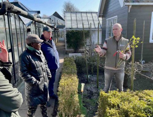 Snertwandeling en workshop fruitbomen