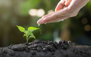 Duurzaam tuinieren: innovatieve producten en een milieuvriendelijke tuin