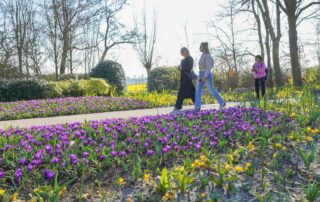 Keukenhof 2025 is open en dat is goed voor het brein