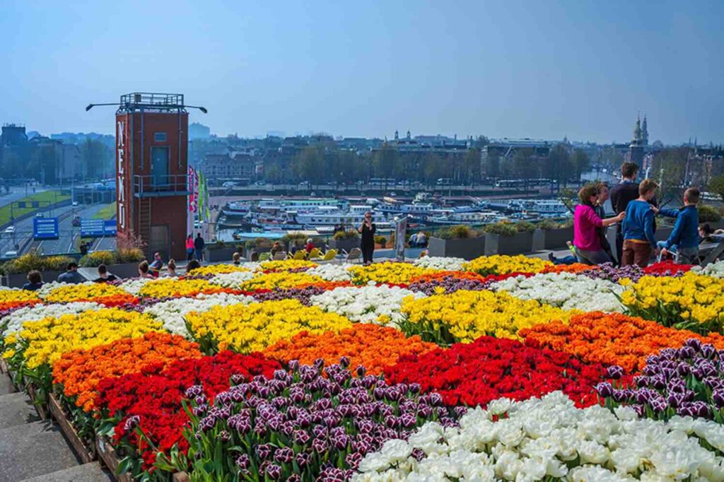 Tulp Festival 2025 opent met doop NEMO tulp