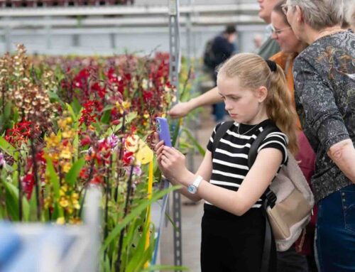 Kom in de Kas 2025, de toekomst van bloemen en planten